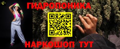 индика Ливны
