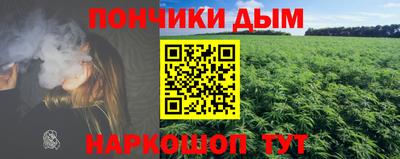 индика Ливны