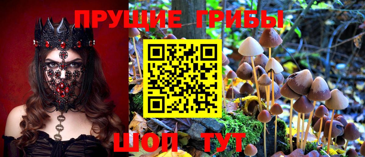 Галлюциногенные грибы Горячий Ключ