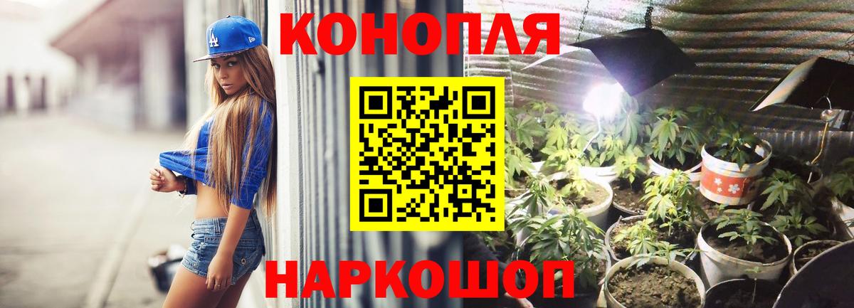 Каннабис сатива  МАРИХУАНА конопля  Горячий Ключ  Вход с VPN  Канабис планчик 